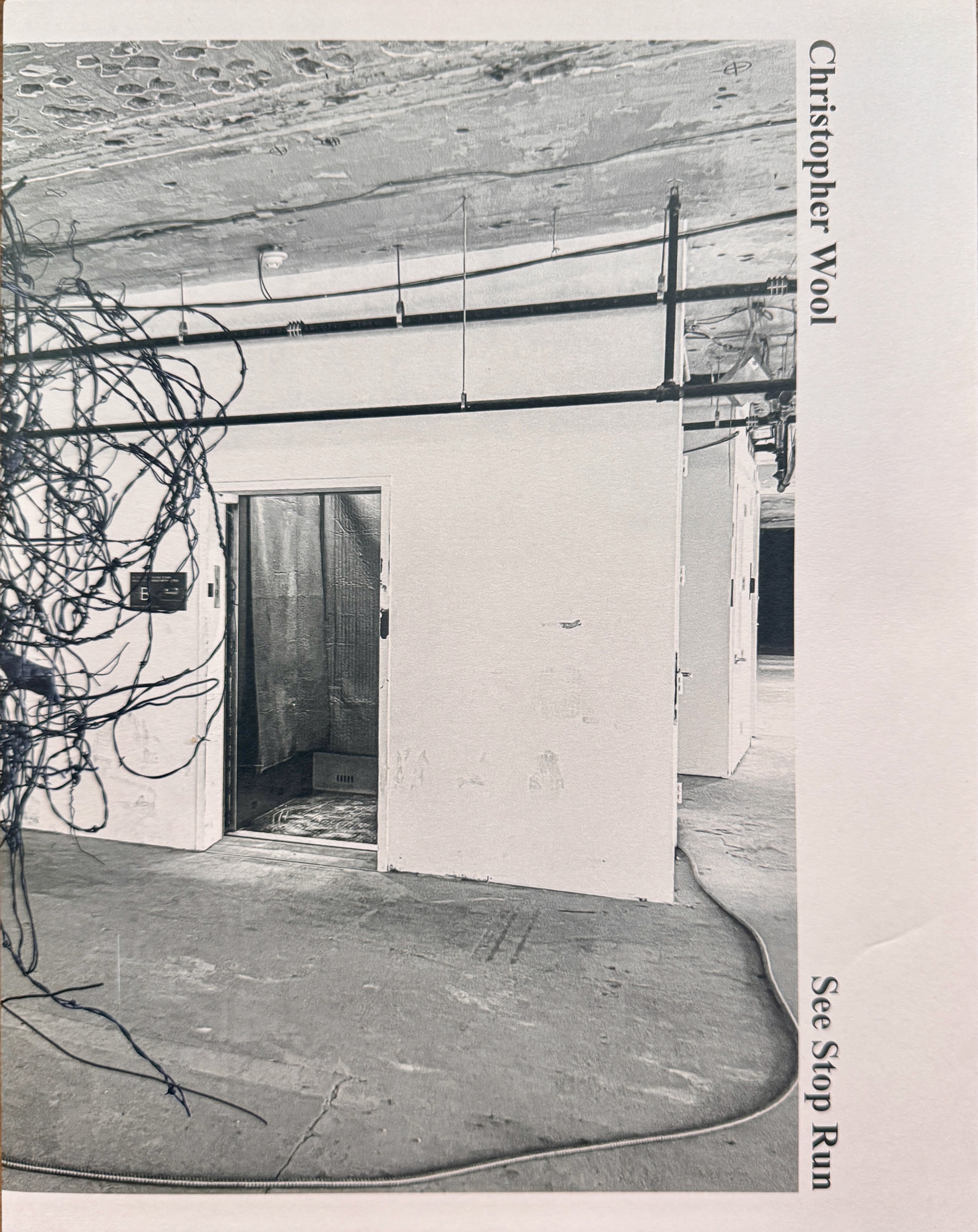 Cover of Christopher Wool: See Stop Run