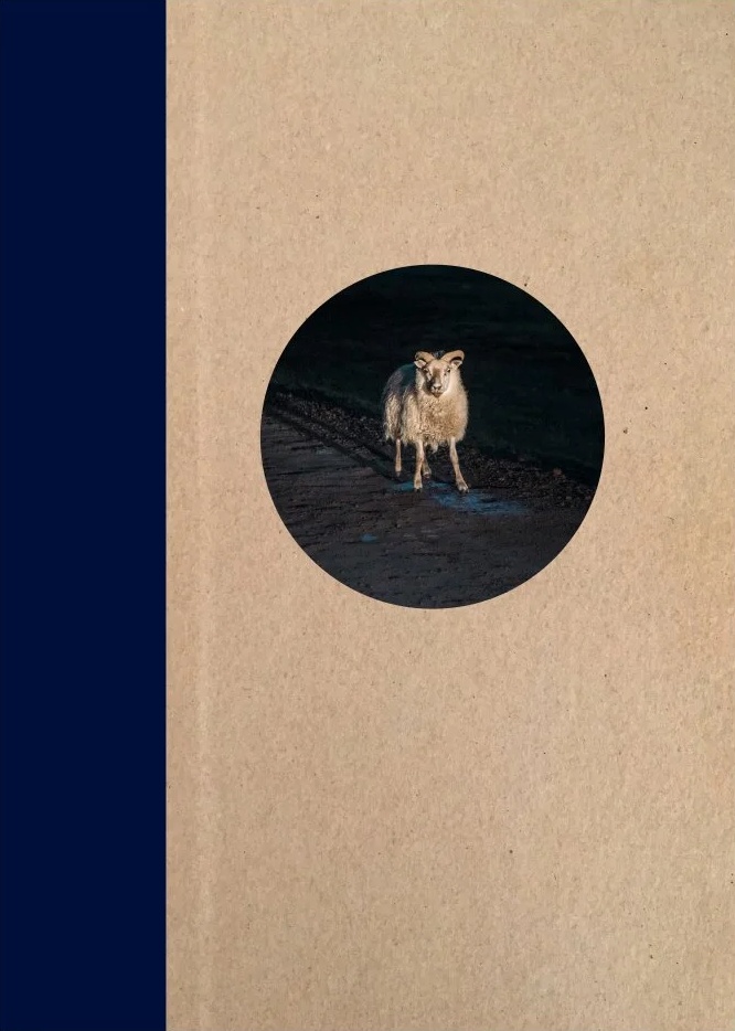 One Picture Book Two Vol 36 - Taken by the Tide by Maria Lax