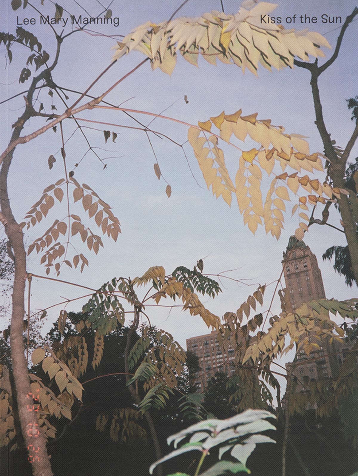 Cover of Kiss of the Sun