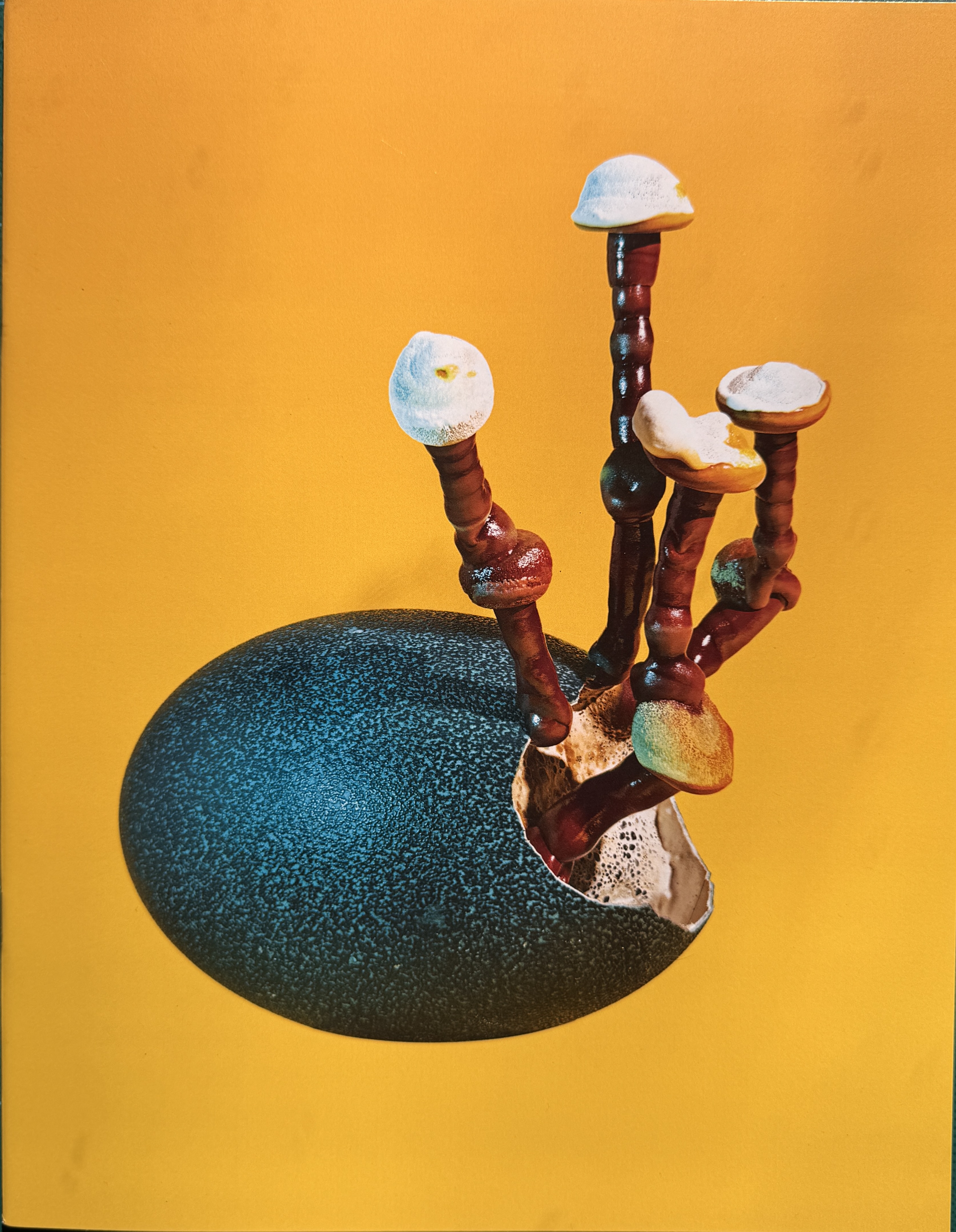 Cover of Mushrooms & Friends 4