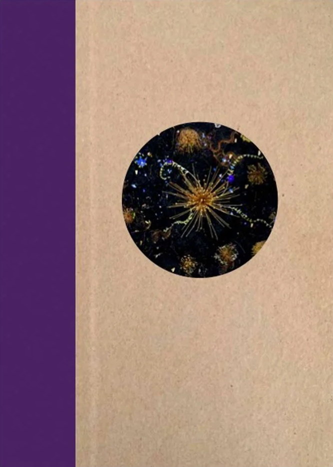 One Picture Book Two Vol 37 - Portent by Tanya Marcuse