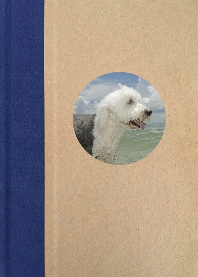 One Picture Book Two Vol 04 - Floridadogs by Tony Mendoza