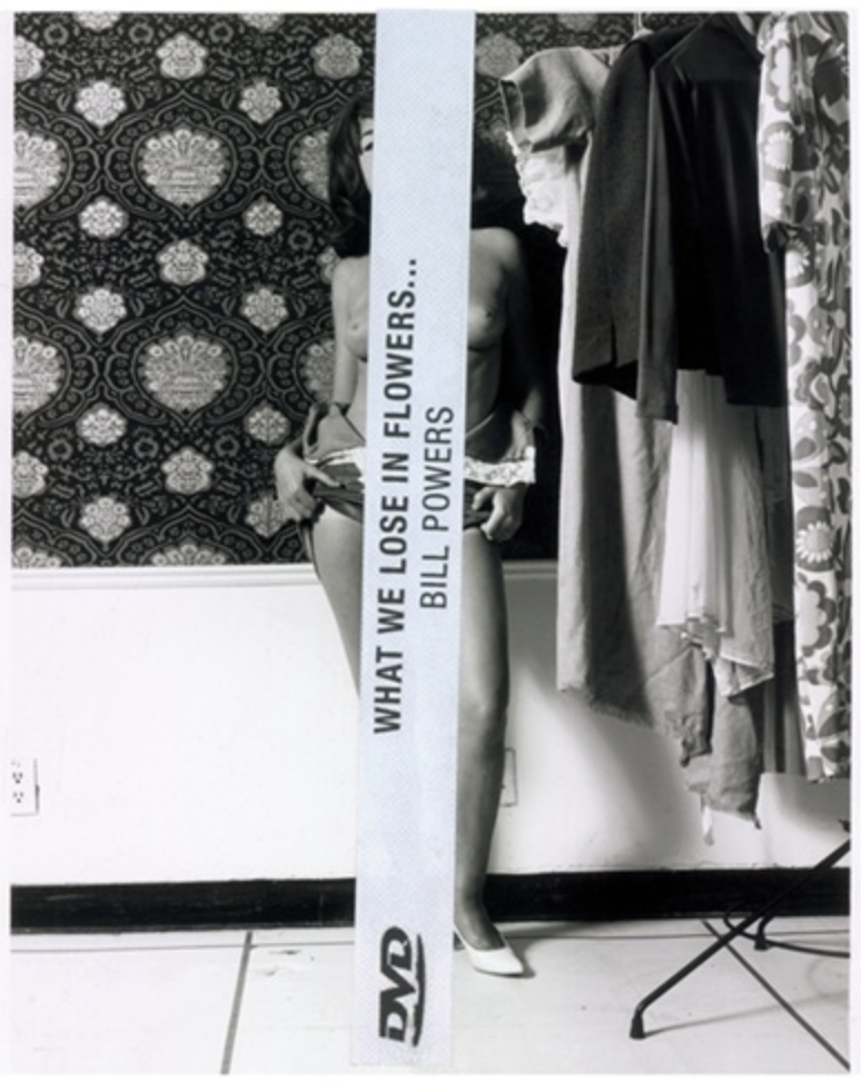 Covering Pollock (program)