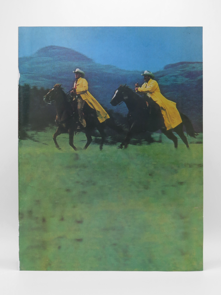 Cover of New Cowboys