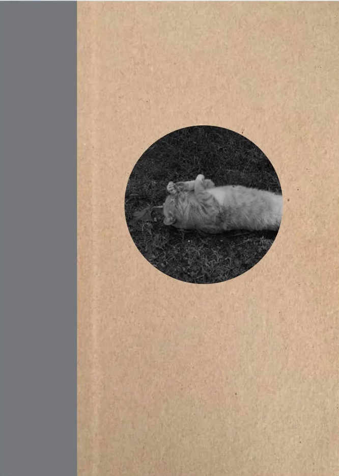 One Picture Book Two Vol 16 - Cats
