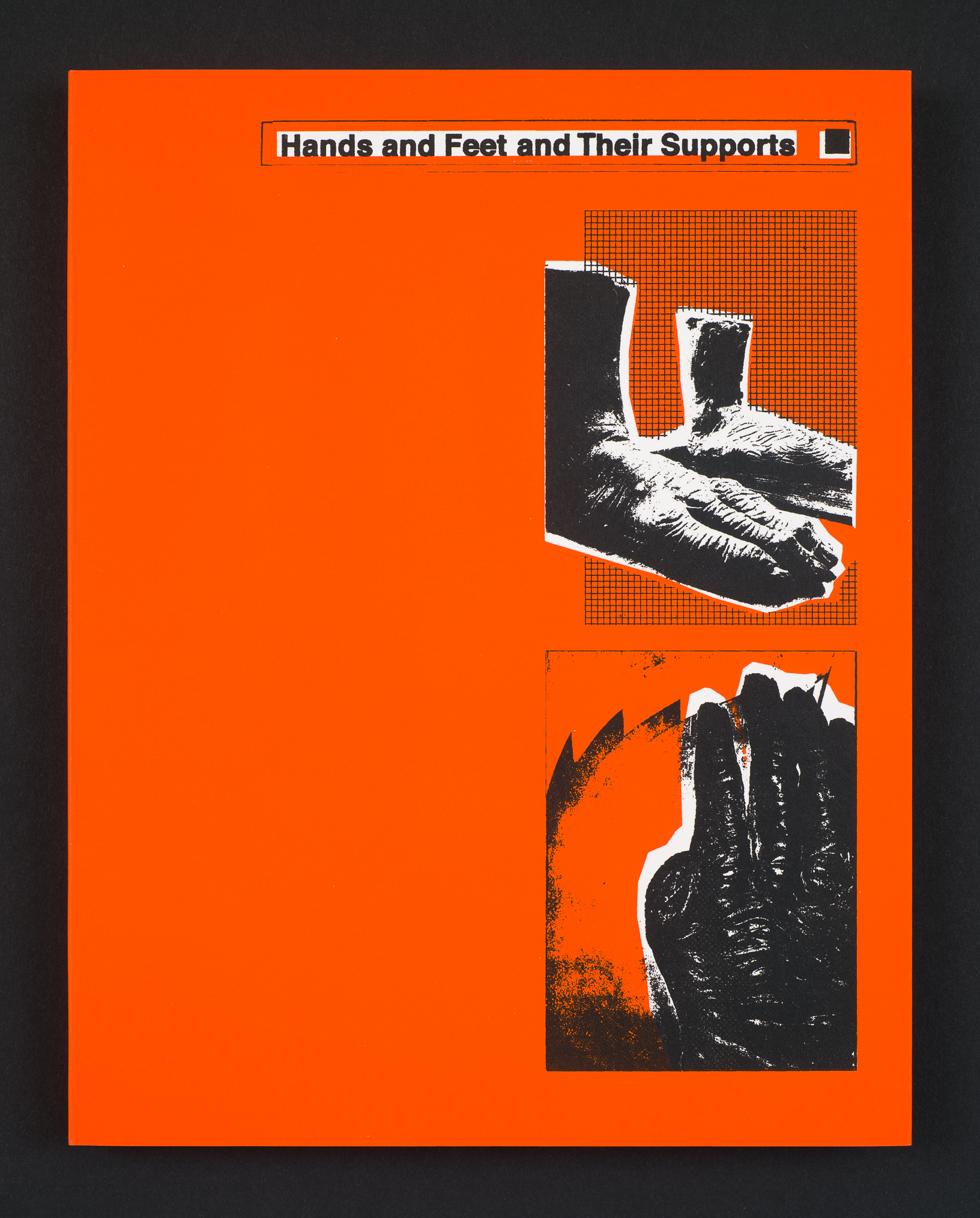 Hands and Feet and Their Supports
