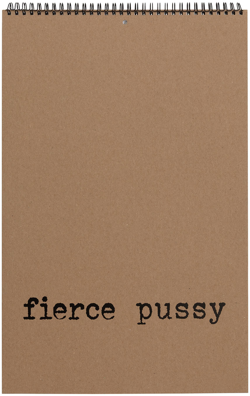 Cover of fierce pussy