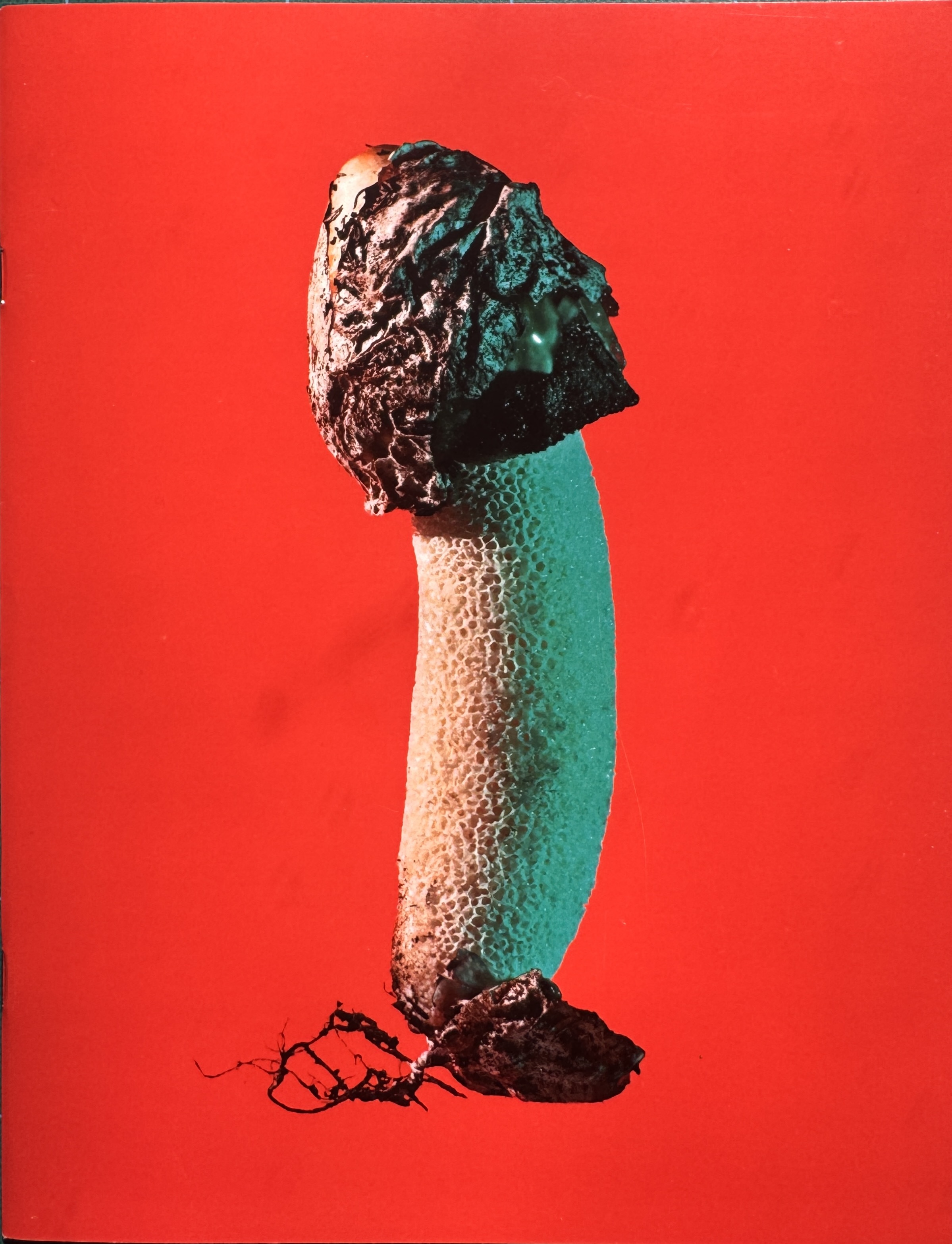 Mushrooms & Friends 3