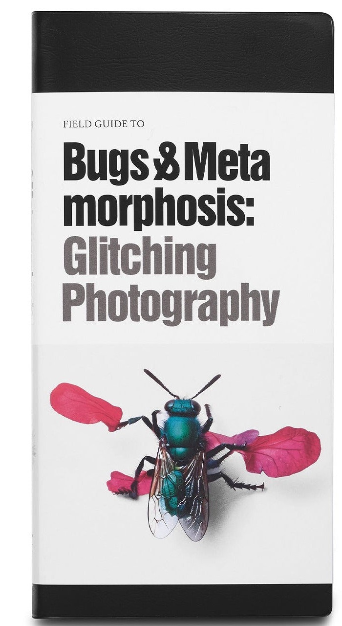 Field Guide to Bugs & Metamorphosis: Glitching Photography