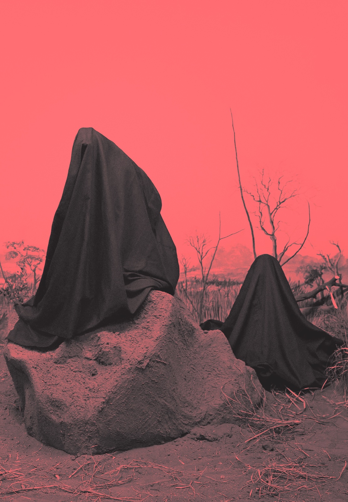 Cover of Violent Images
