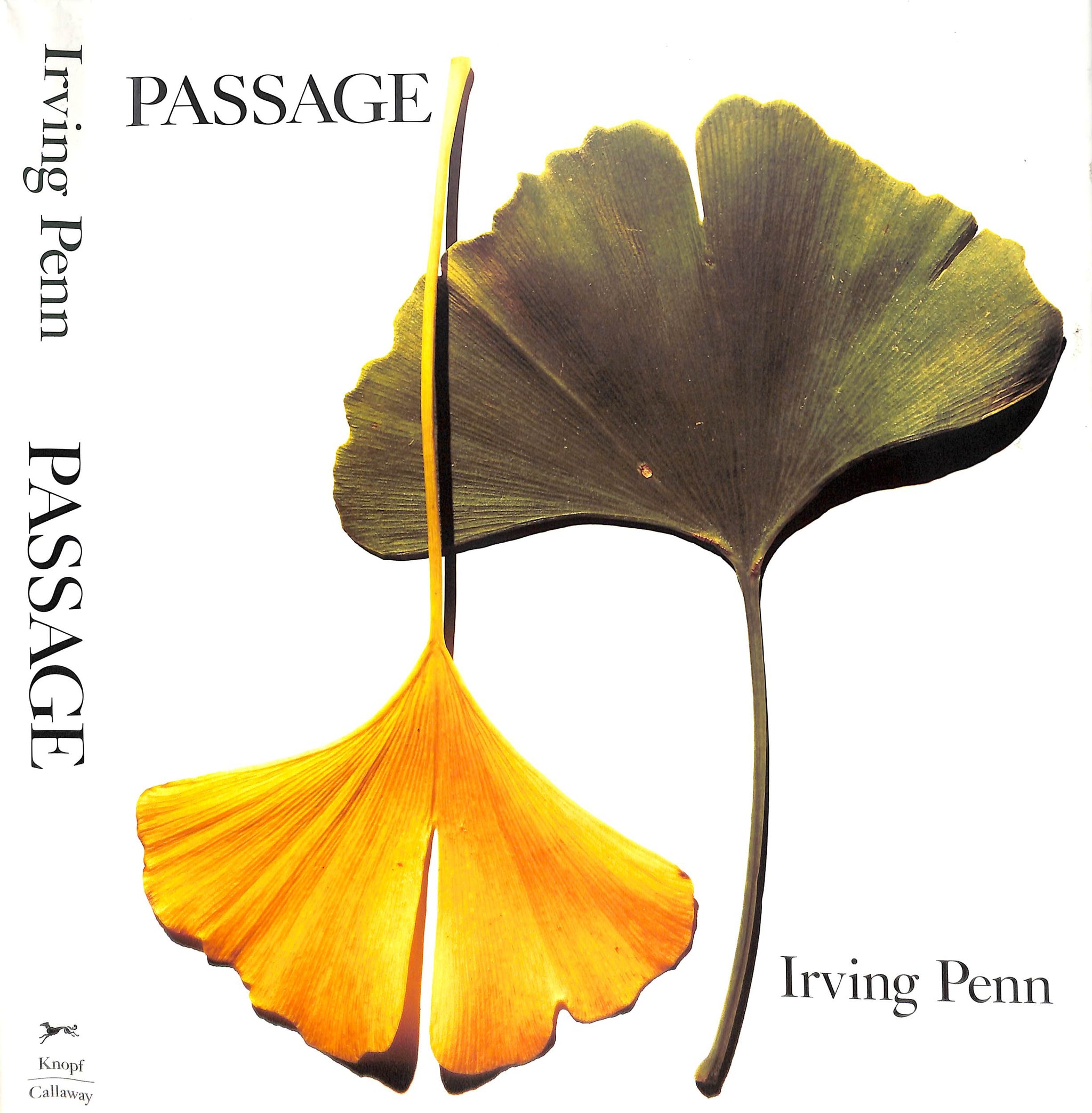 Passage: A Work Record
