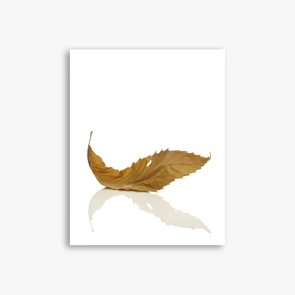 Peter Saville: Estate 1-127