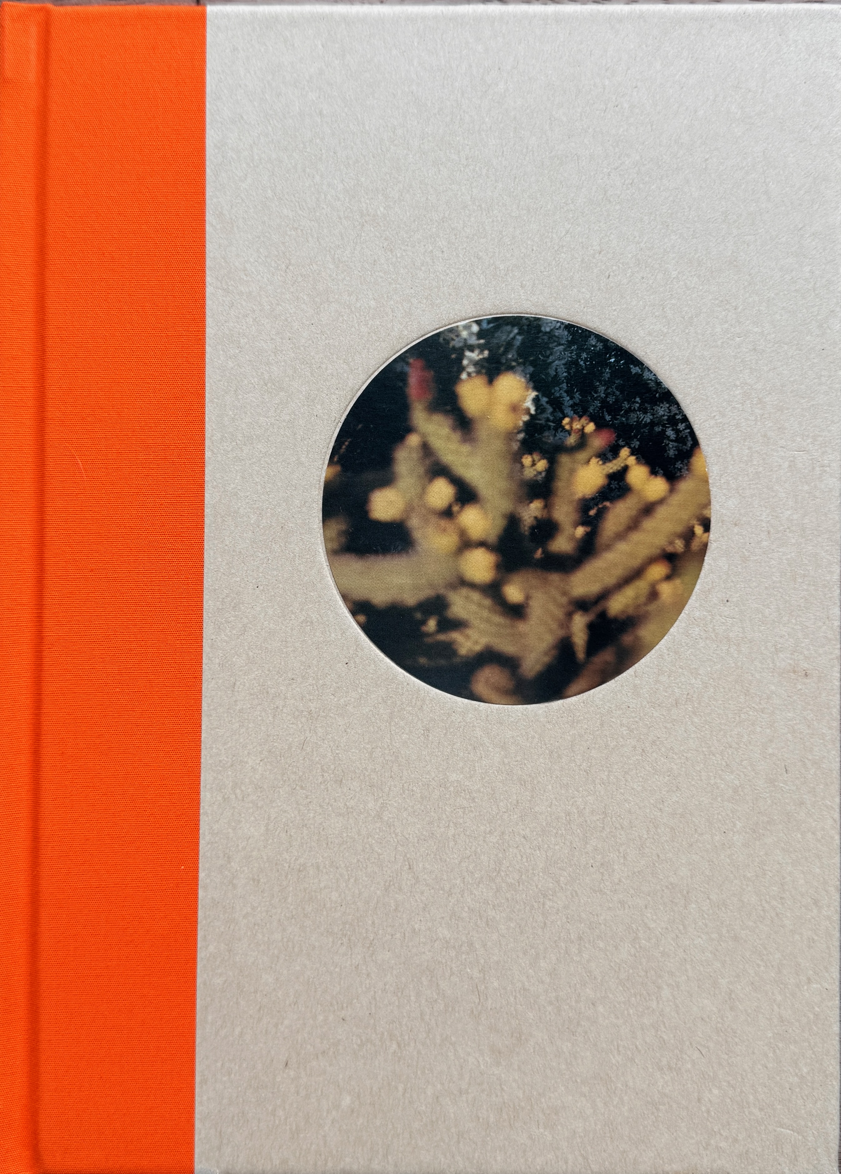 Cover of One Picture Book Two Vol 52: Lone Pine