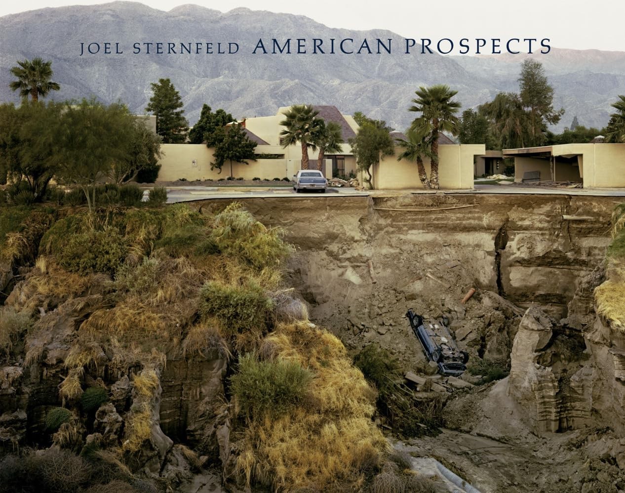 American Prospects