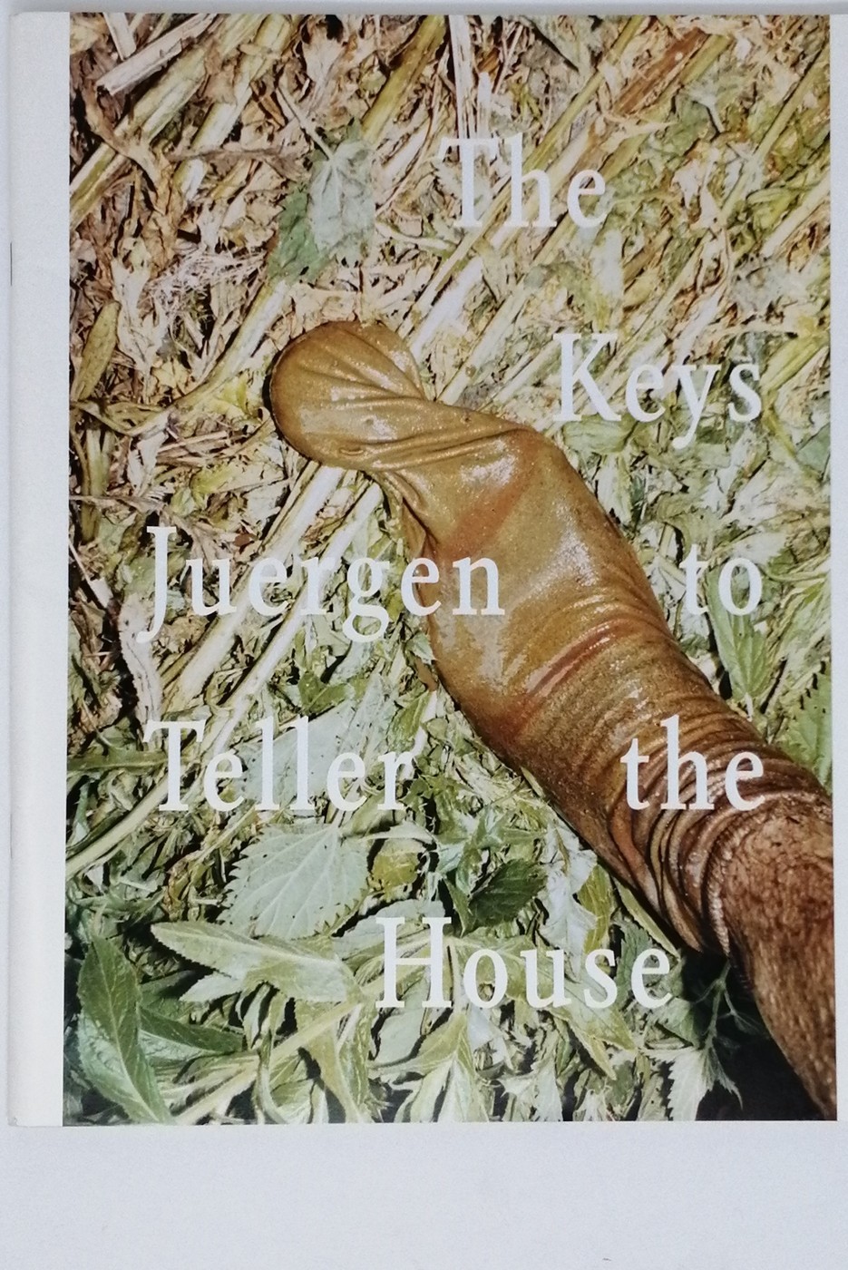 The Keys to the House