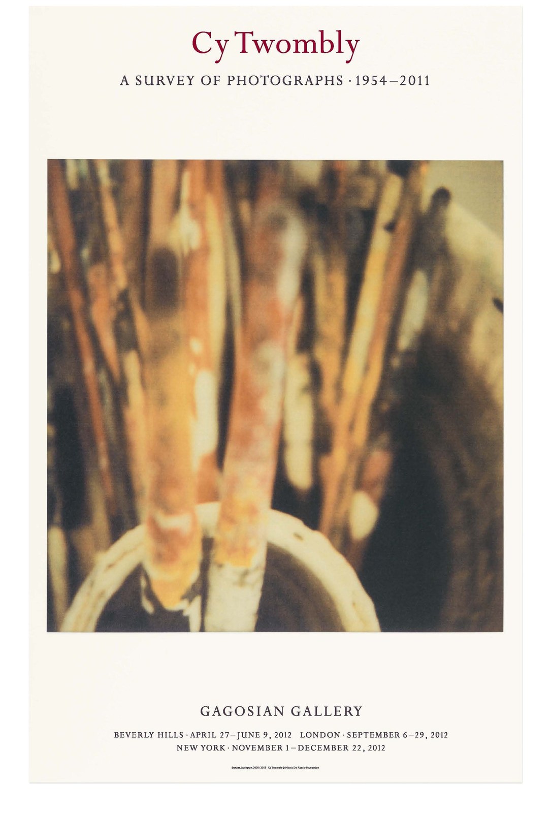 Cy Twombly: A Survey of Photographs, 1954–2011 Poster