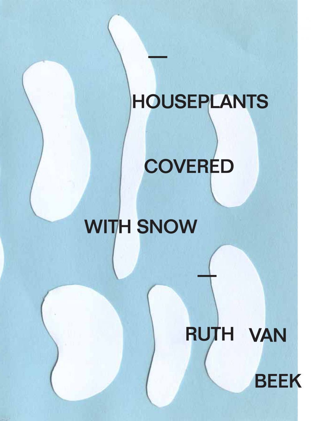 Houseplants Covered With Snow