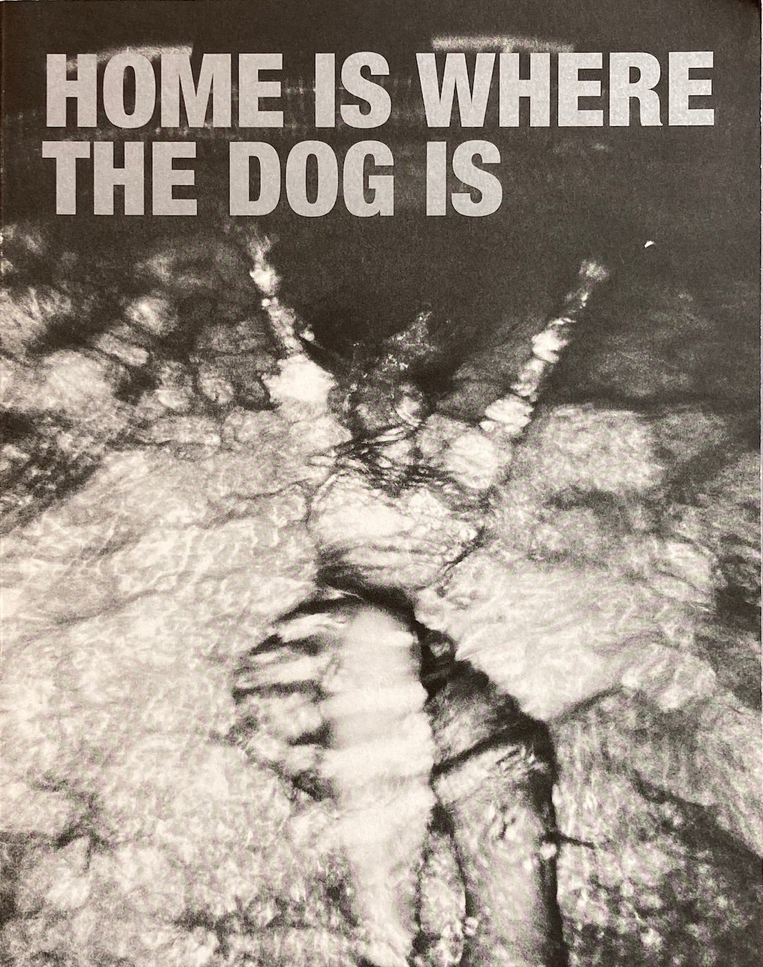 Home Is Where the Dog Is