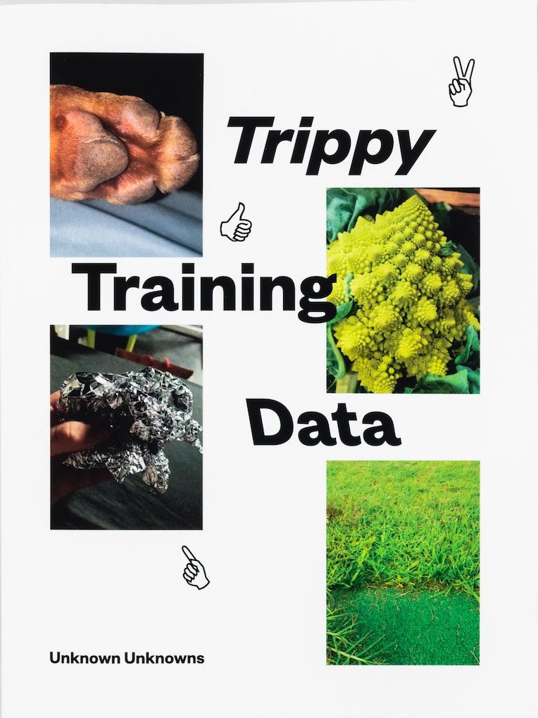 Trippy Training Data