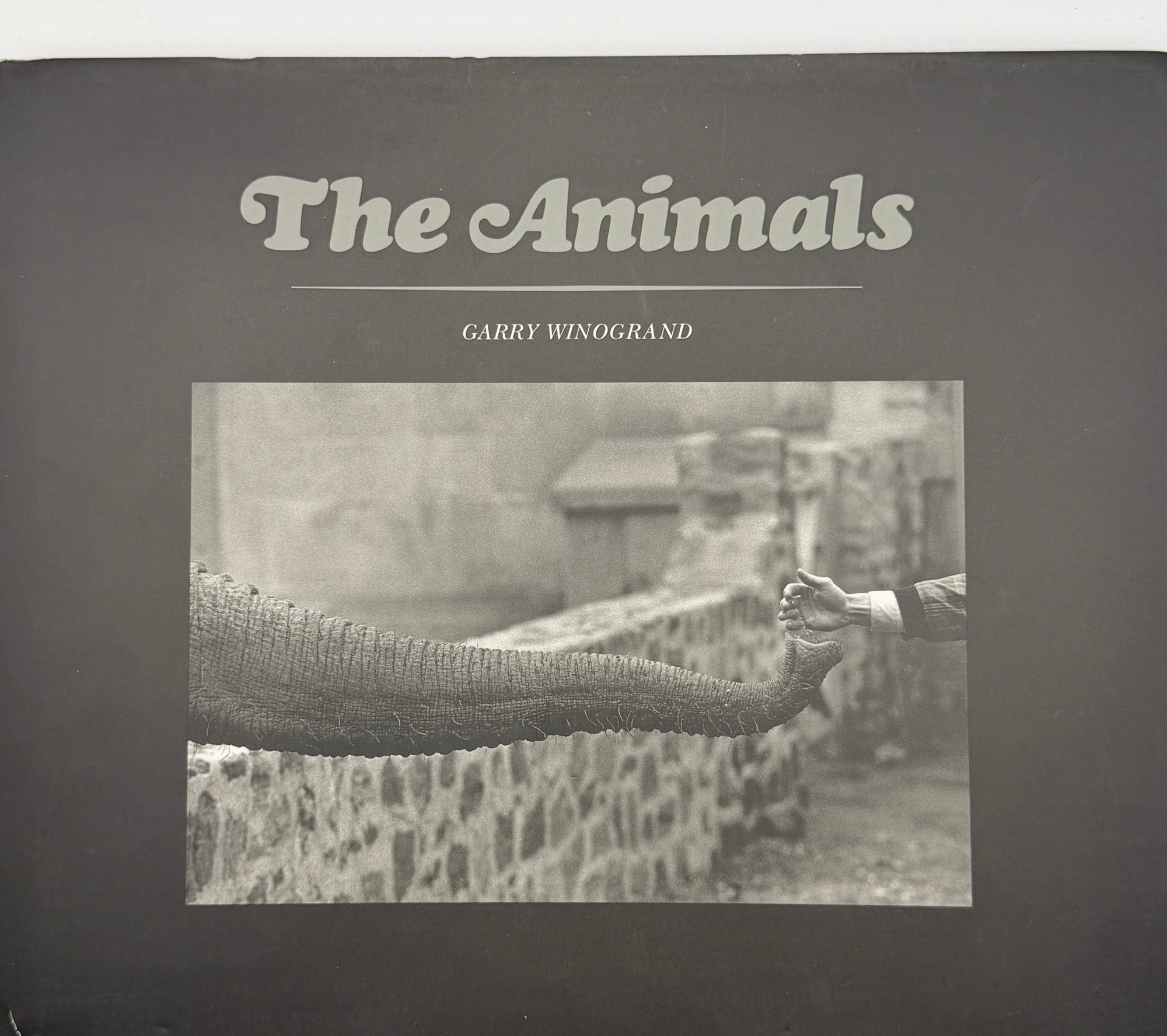 The Animals
