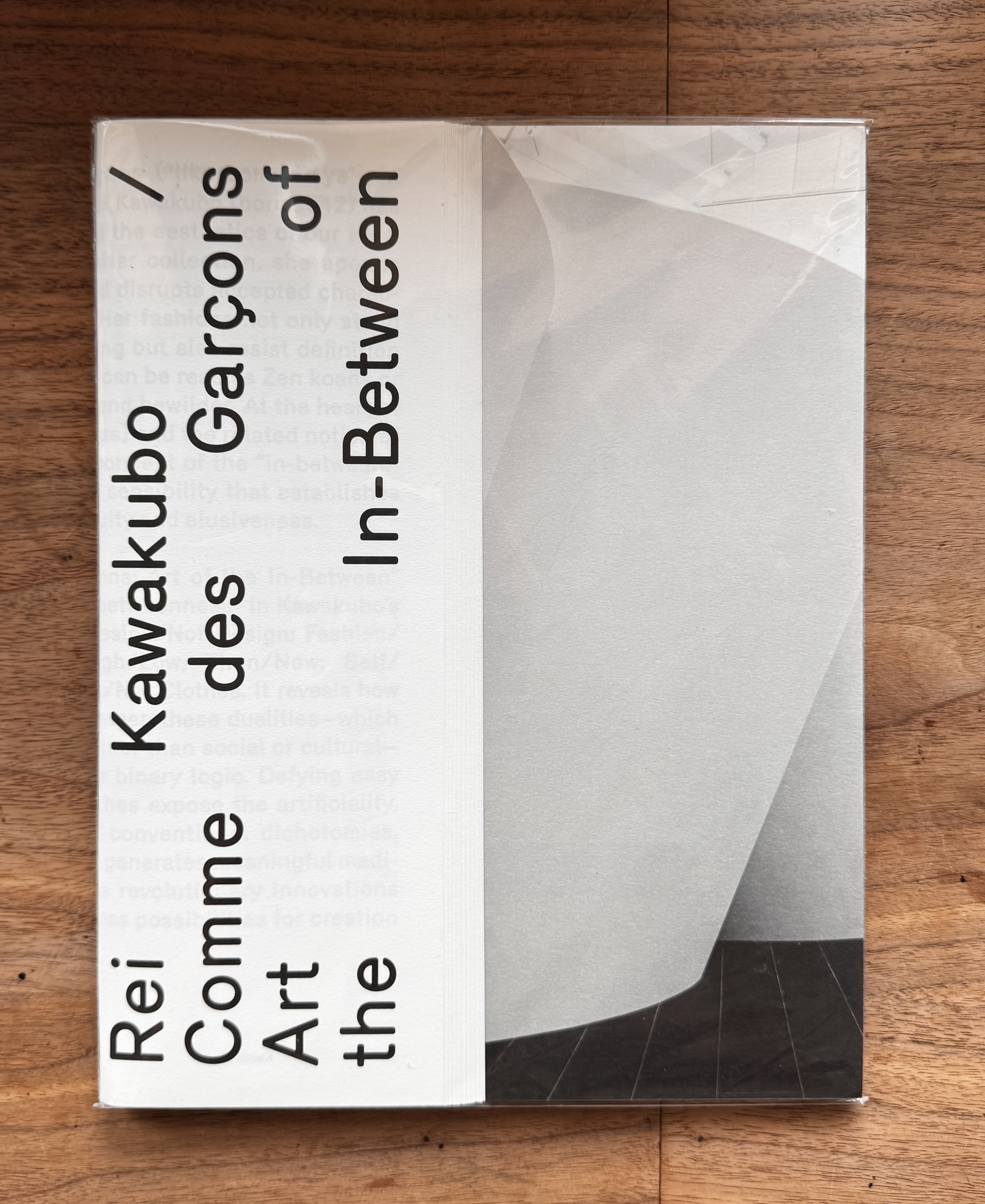 Comme des Garçons Art of the In-Between