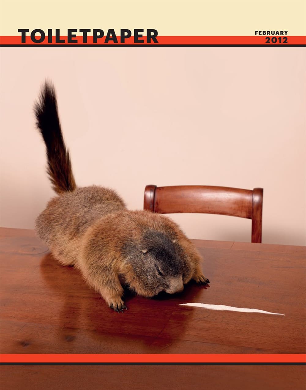 Toilet Paper Issue 5