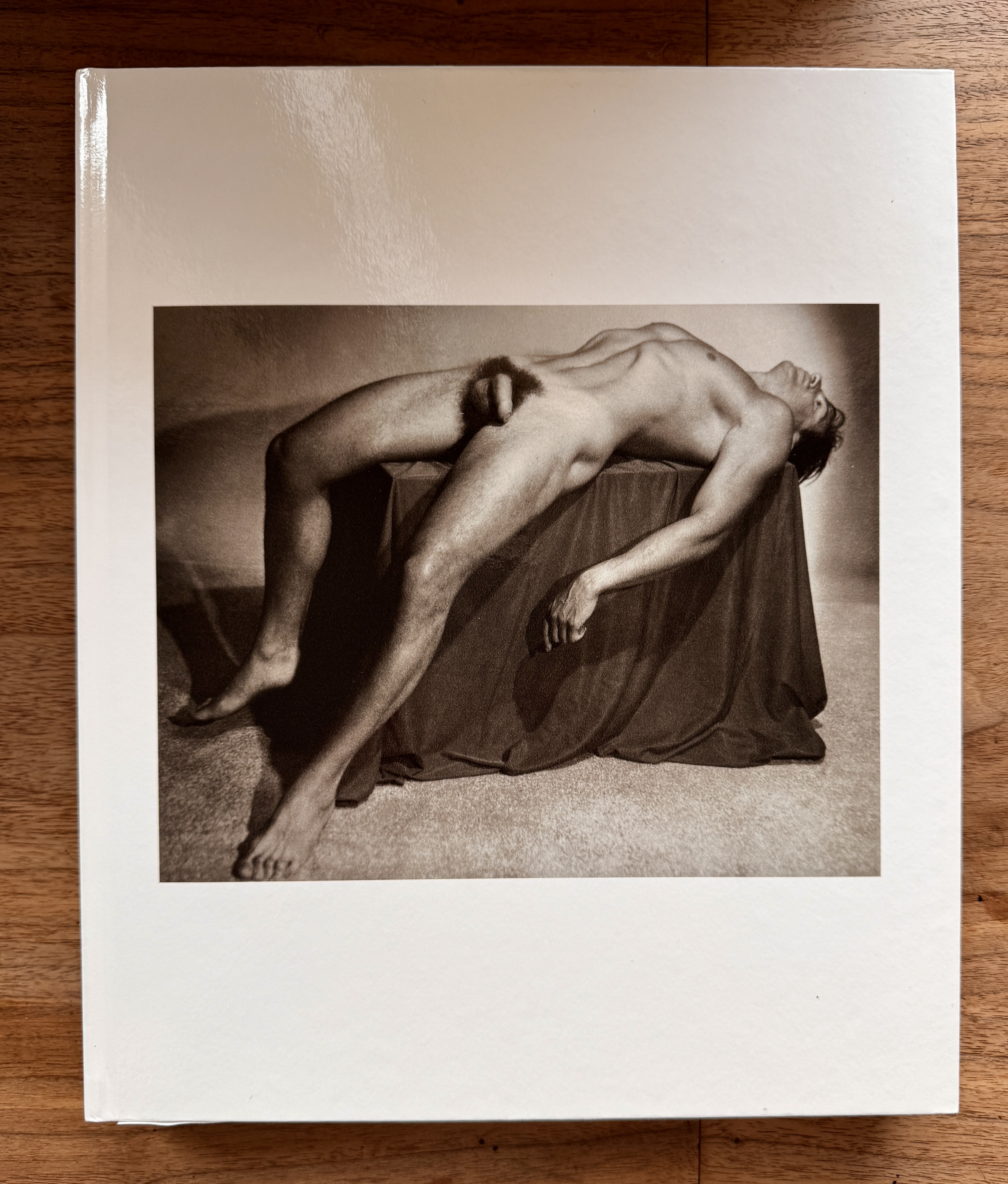 Physique by Vince Aletti - interior pages